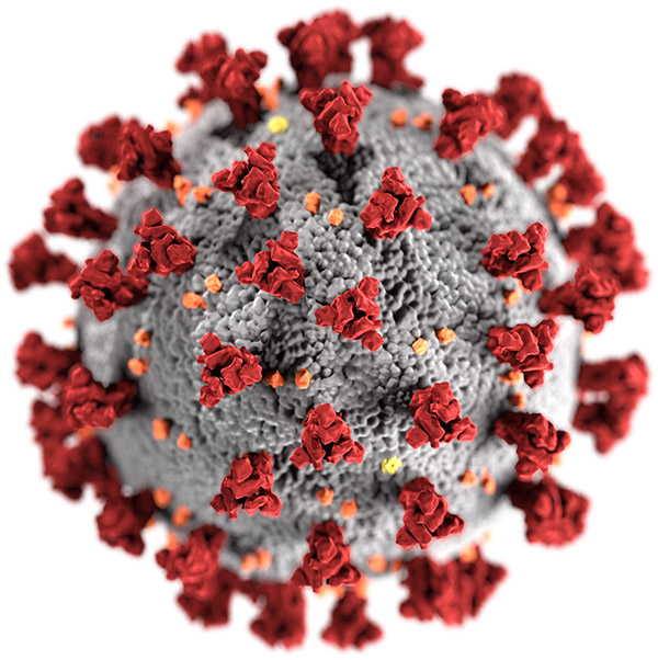 Coronavirus - SARS-Cov-2 - Wikipedia