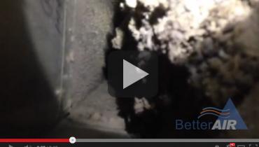 Better Air - main trunk line duct cleaning #3